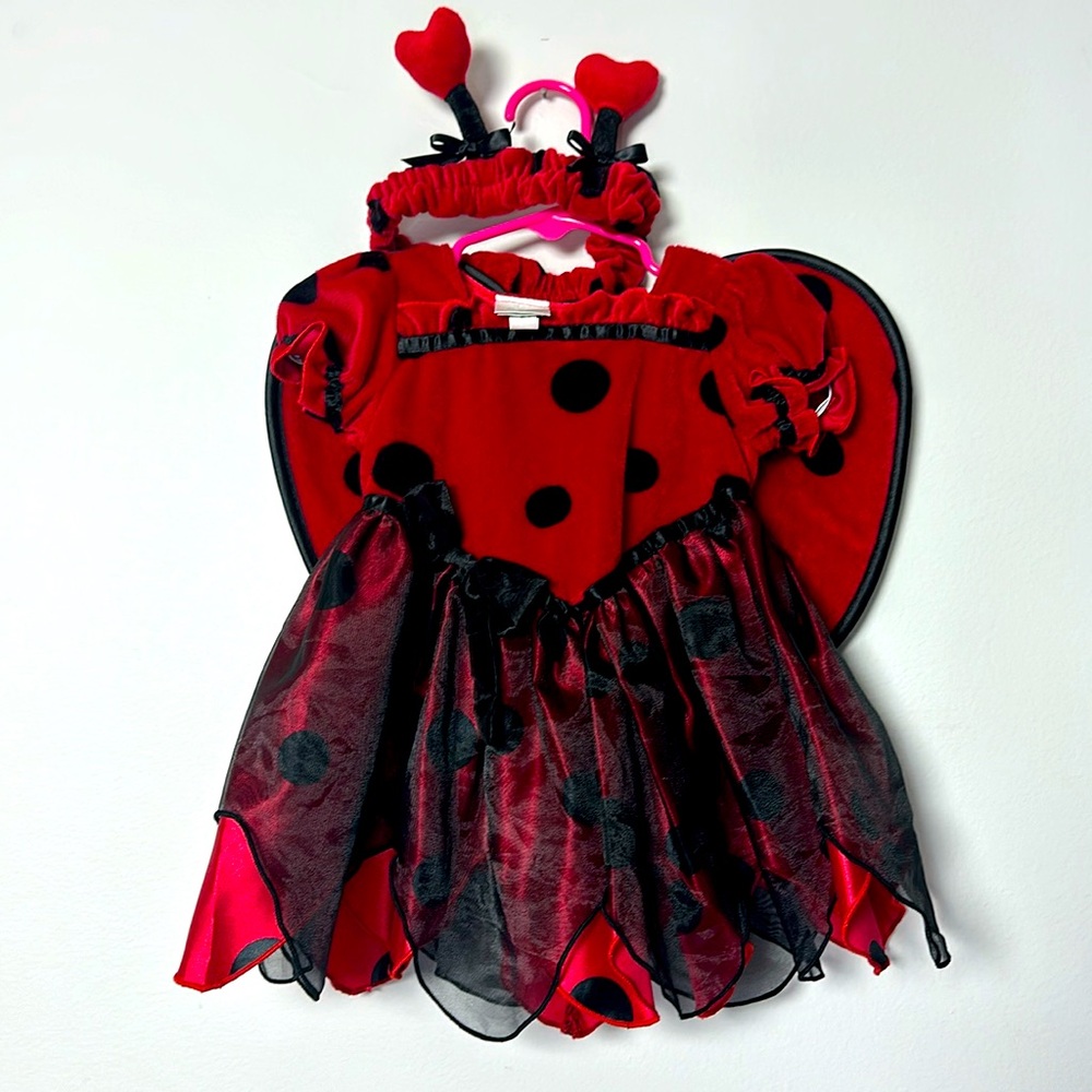 Lady Bug